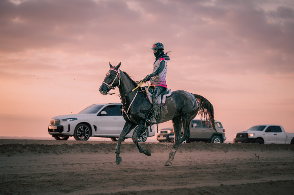 Endurance riders at sunset — EIEV