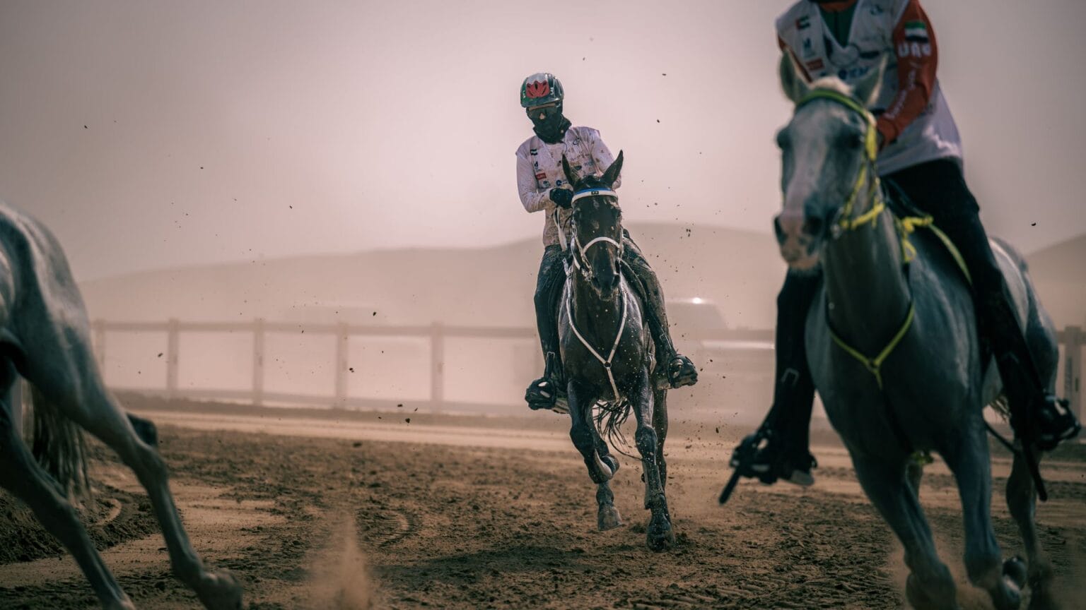EIEV Endurance Rides